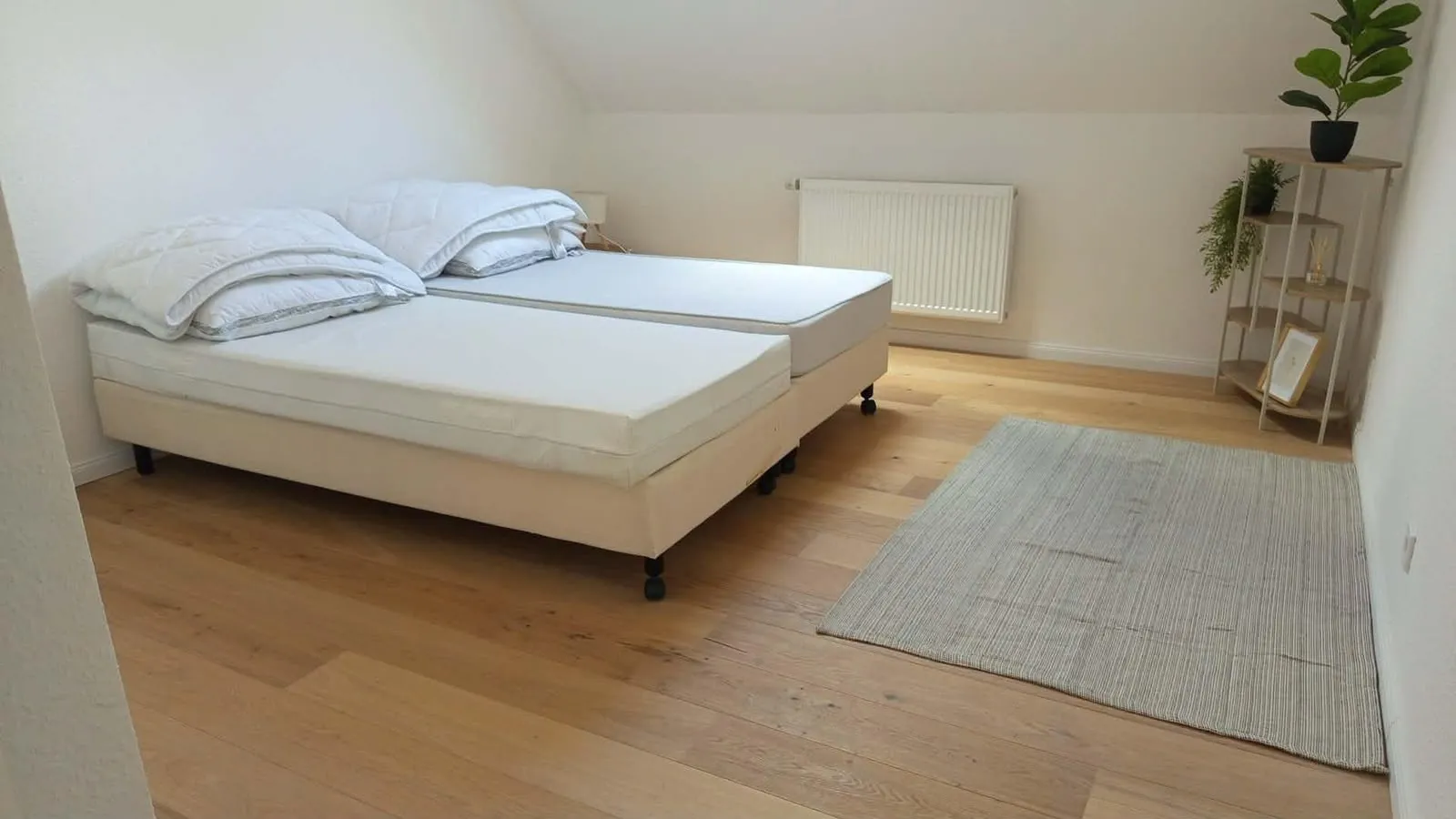 Helles Gästezimmer mit Boxspringbetten nach der Zwischenreinigung